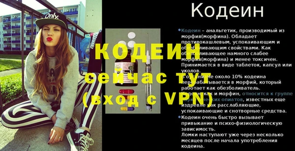 прущие грибы Куйбышев