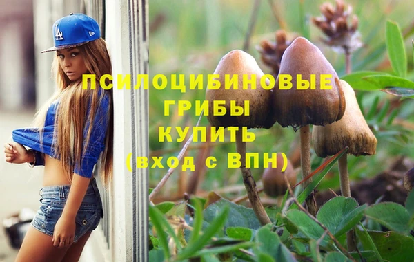 ECSTASY Железногорск-Илимский