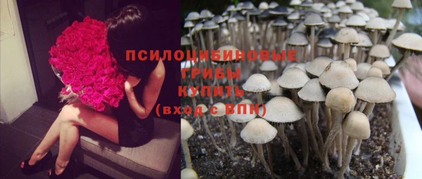 a pvp Корсаков
