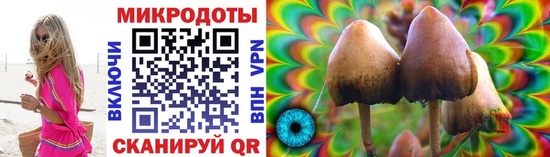 Псилоцибиновые грибы MAGIC MUSHROOMS  дарк нет формула  Кудымкар  купить  сайты 