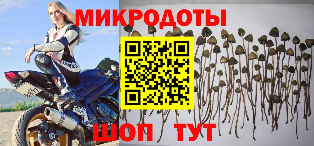 Кудымкар  Псилоцибиновые грибы мухоморы  Псилоцибиновые грибы мухоморы  магазин    Вход с VPN 